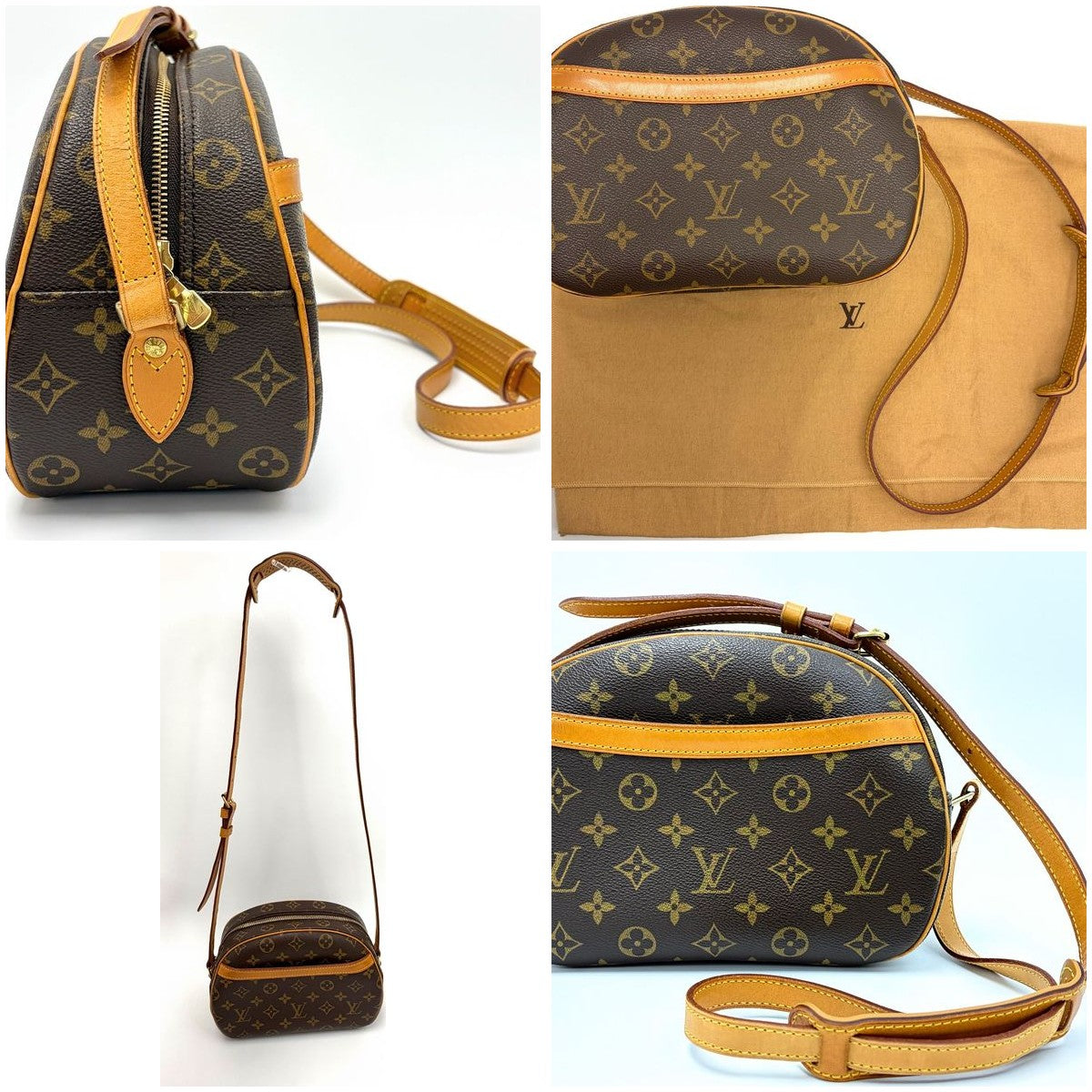 Louis Vuitton Monogram Blois Coated Canvas Bag