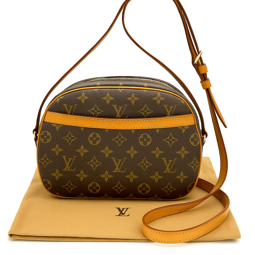 Louis Vuitton Monogram Blois Coated Canvas Bag