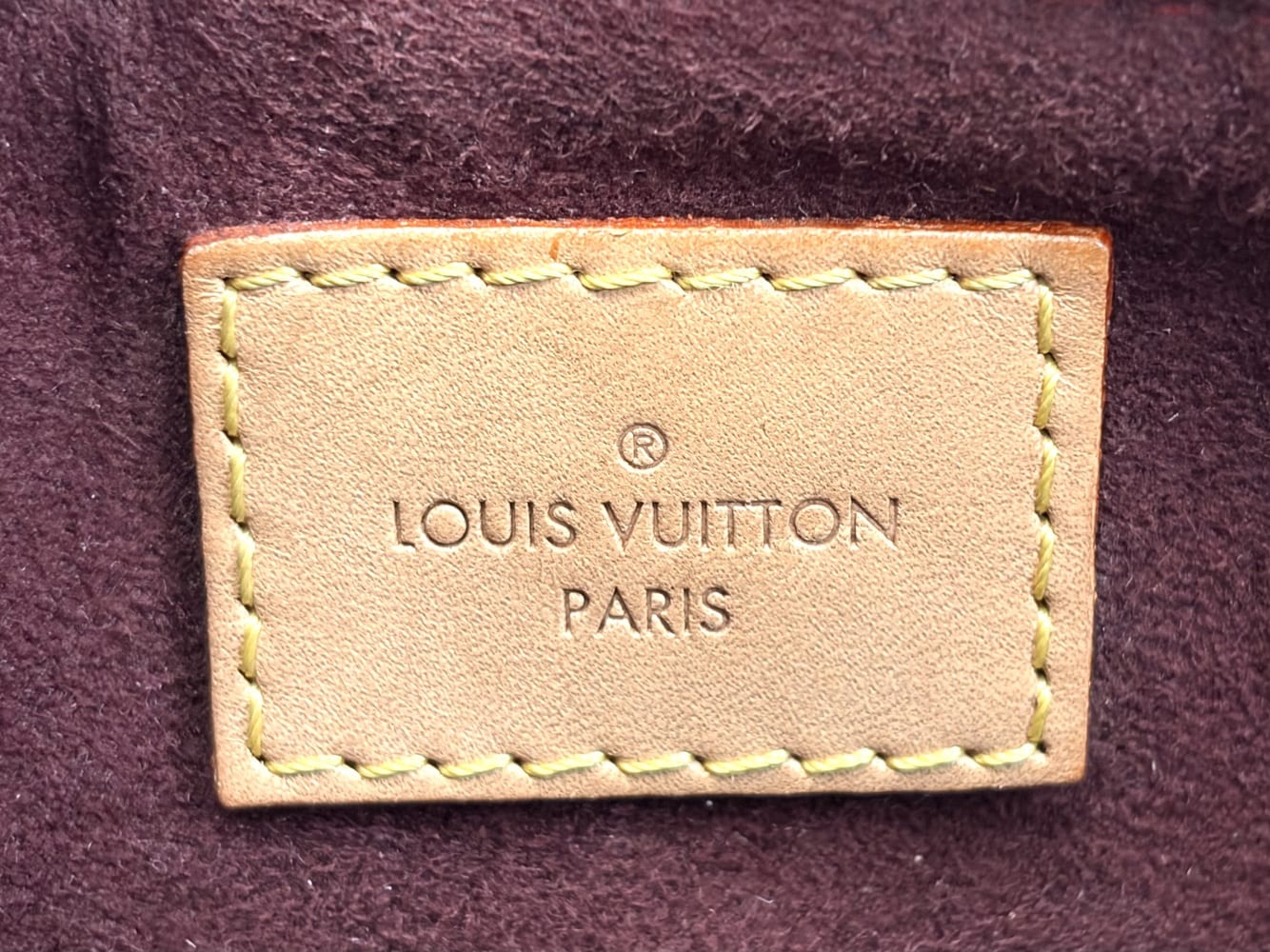 Louis Vuitton Soufflot MM Shoulder Bag 10